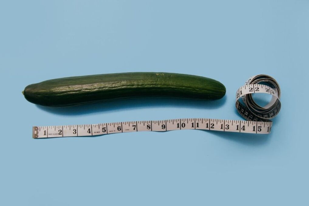 Penis size measurement using the example of a cucumber